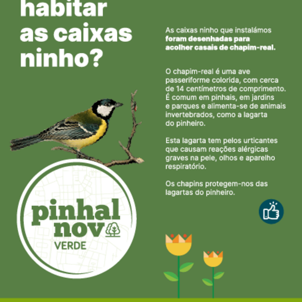 Pinhal Novo Verde (10)