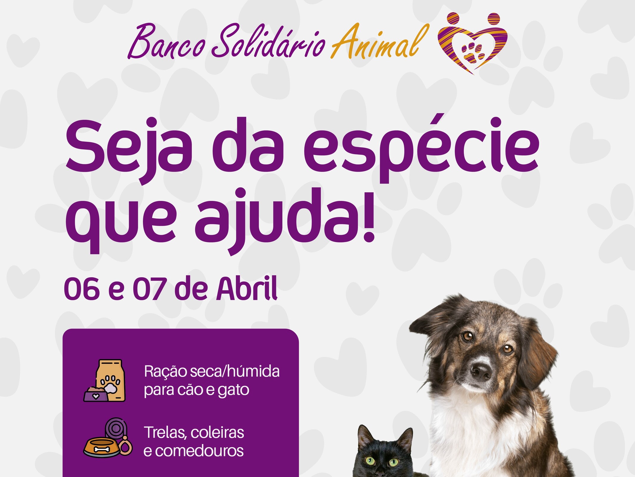 Banco Solidário Animal: colabore com os seus donativos!