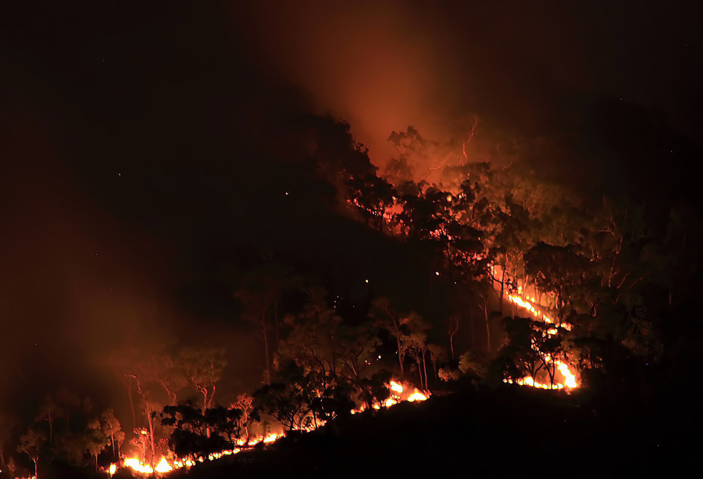 Proteção Civil lança alerta de perigo de incêndio florestal