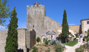 Continuam as visitas guiadas mensais ao Castelo e Centro Histórico de Palmela 