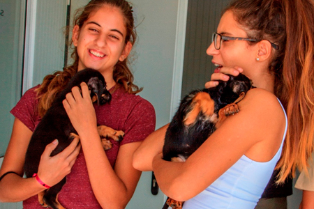 Município apela à adoção no Centro de Recolha Oficial de Animais para comemorar o Dia do Animal 
