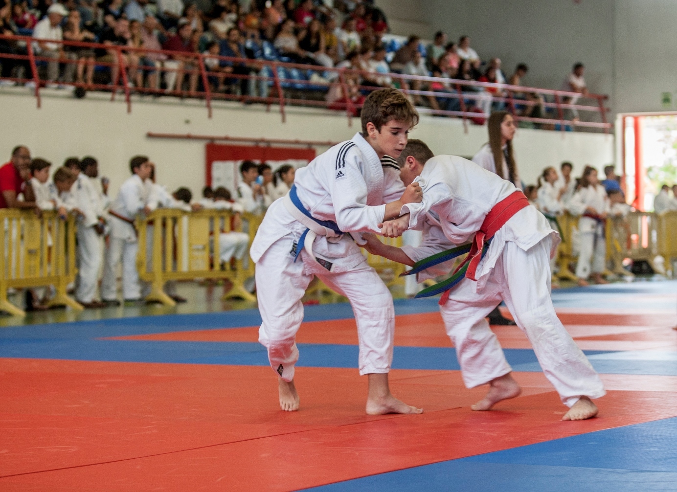 Torneio Municipal de Judo reúne quatro dezenas de judocas no Bairro Alentejano