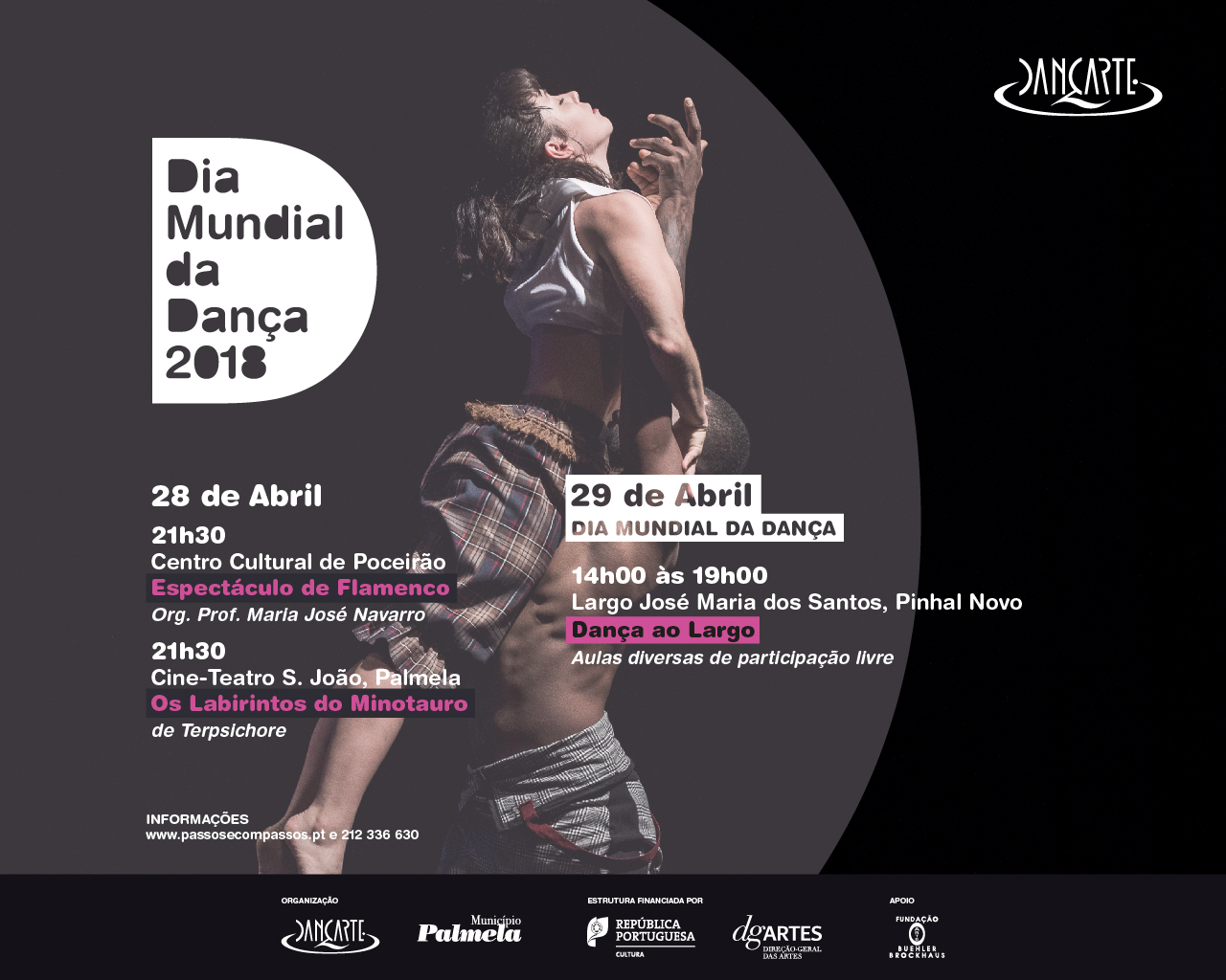 Dia Mundial da Dança comemorado com baile, aulas abertas e flamenco