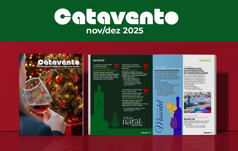 newsletter Catavento novembro e dezembro