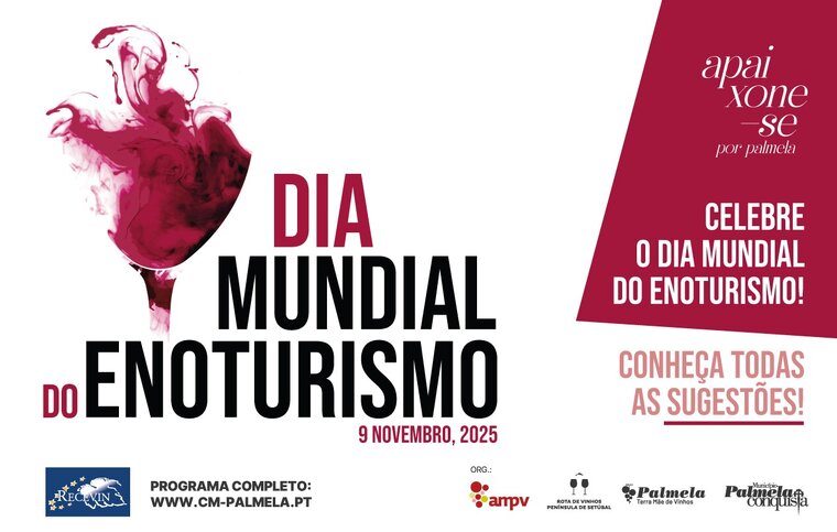 newsletter Dia Mundial do Enoturismo