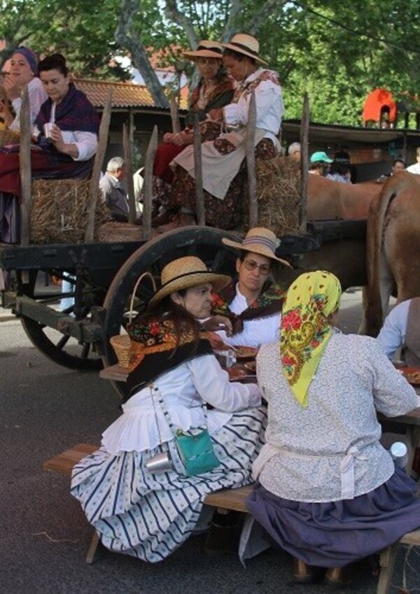 mercado_caramelo_1_1024_2500