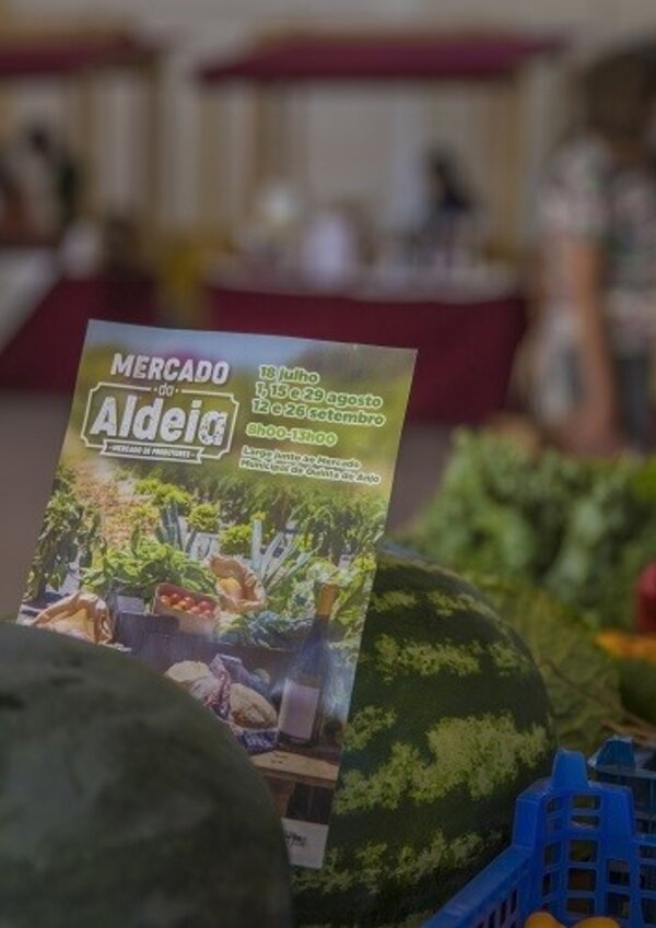 mercado_aldeia