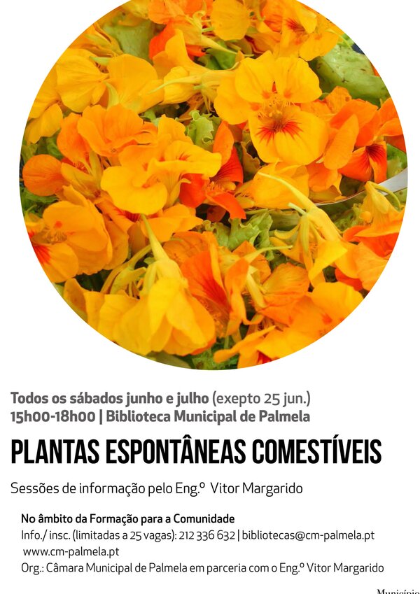 plantas-comestiveis_promo