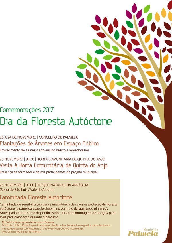 floresta-autoctone_promo