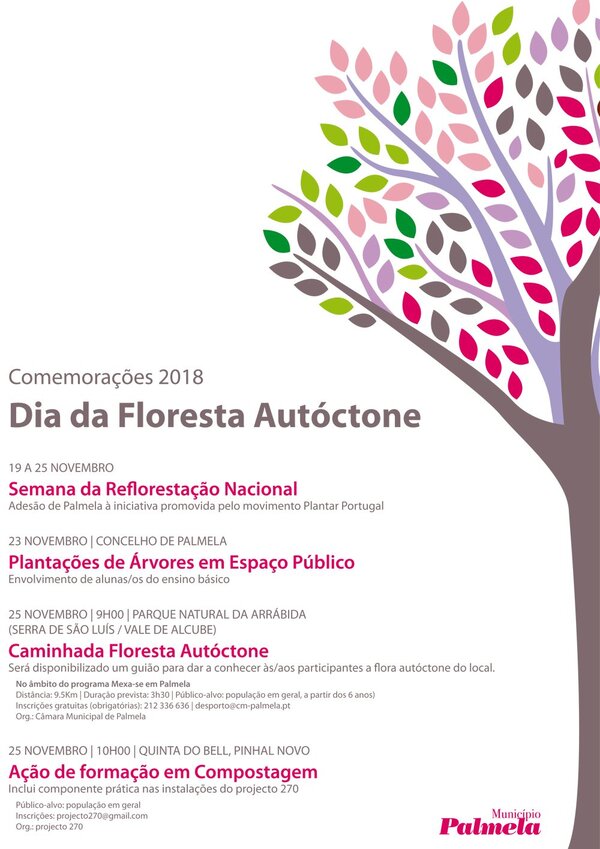 dia_floresta_autoctone