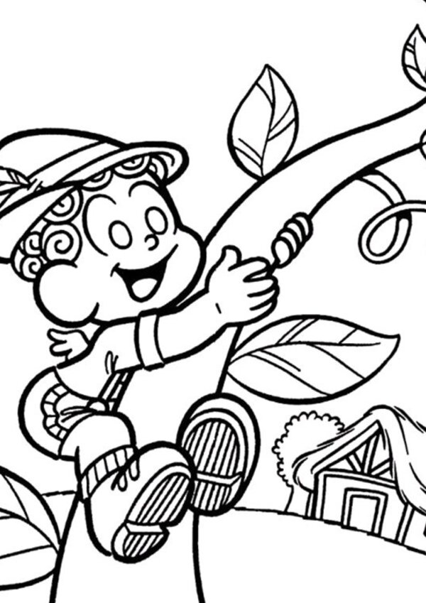 pe_de_feijao_1_1280_1024