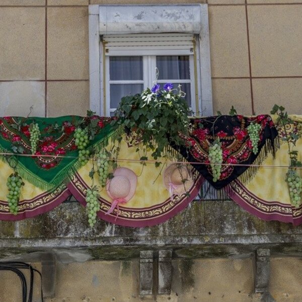 Festa das Vindimas 2019