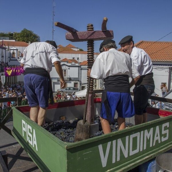 Festa das Vindimas 2019
