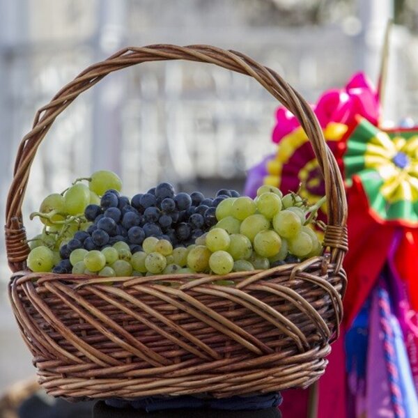 Festa das Vindimas 2019