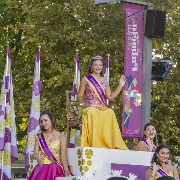 Festa das Vindimas 2019