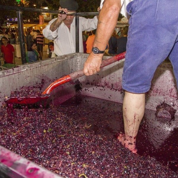 Festa das Vindimas 2019