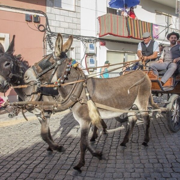 Festa das Vindimas 2019