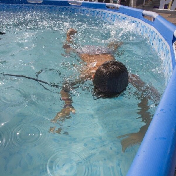 Festa das Vindimas 2019