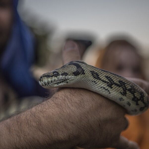 Feira Medieval de Palmela 