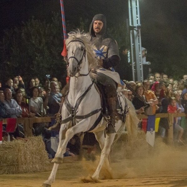 Feira Medieval de Palmela 