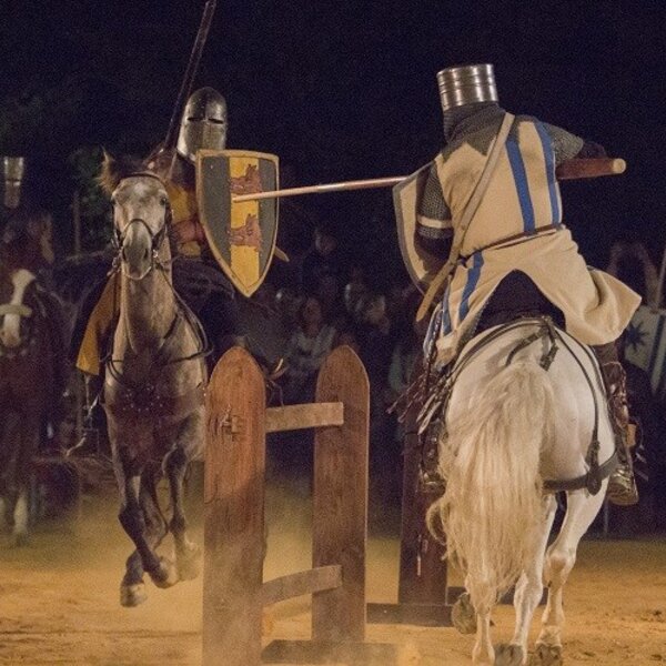 Feira Medieval de Palmela 