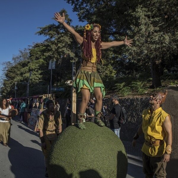 Feira Medieval de Palmela 