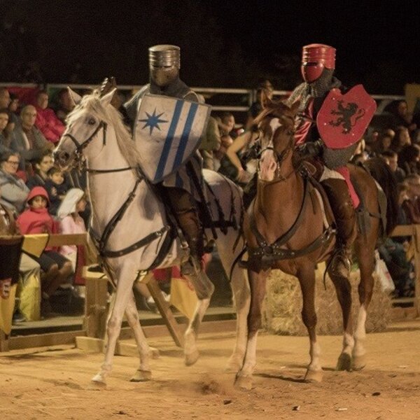 Feira Medieval de Palmela 