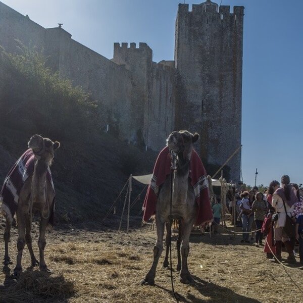 Feira Medieval de Palmela 