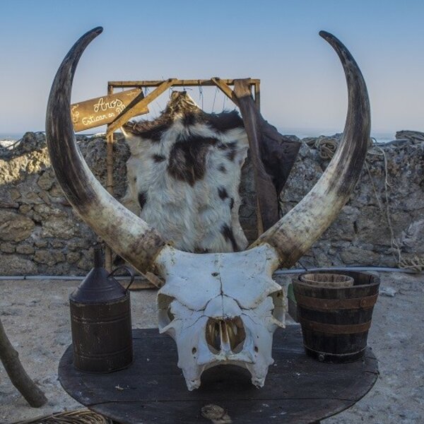 Feira Medieval de Palmela 
