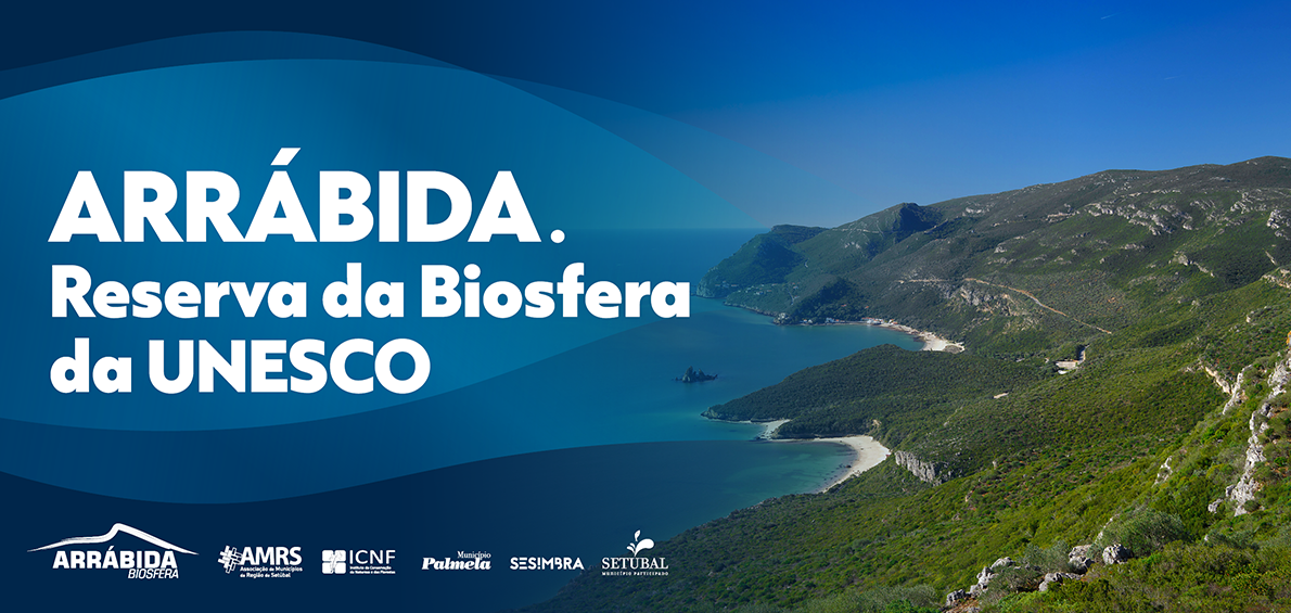 site_cmp_banner_topo_1190x565px