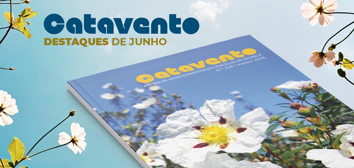 topo_novosite
