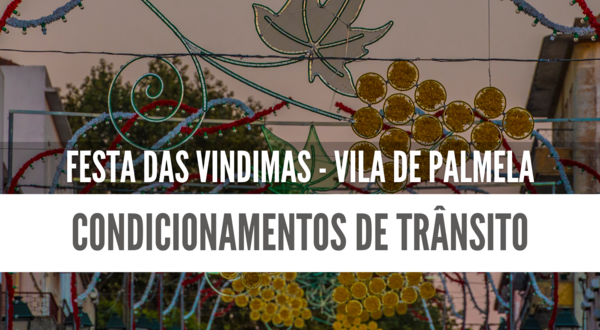 avisos_e_comunicados