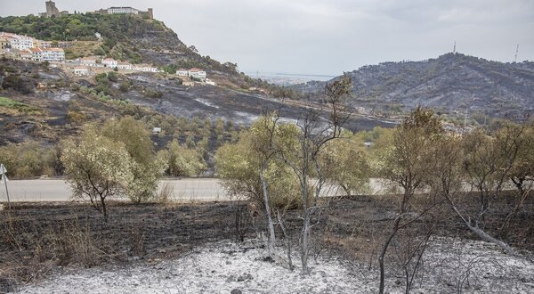 incendio_catastrofe_natural