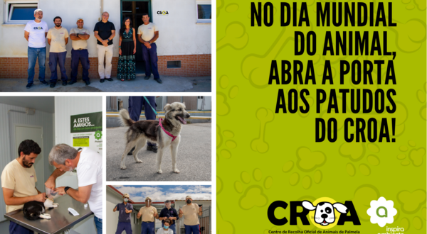 avisos_e_comunicados__4_