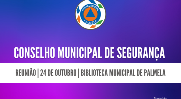 conselho_municipal_de_seguranca