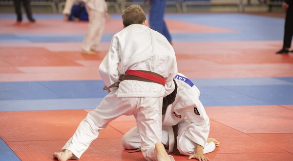 judo