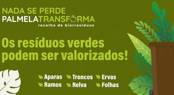 noticia_verdes