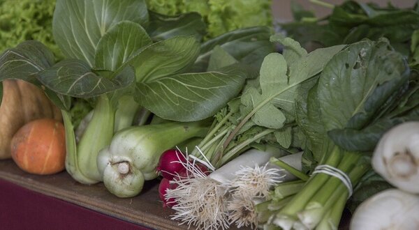 associacao_agricultores