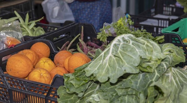 regulamento_mercados