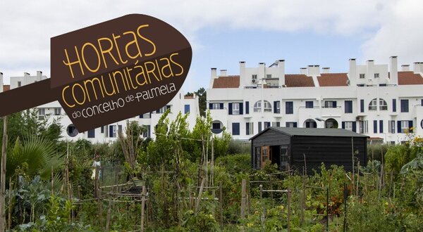 horta_comunitaria_noticia