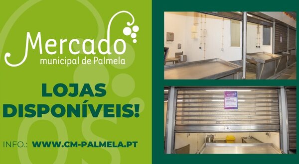 noticia_mercado_palmela