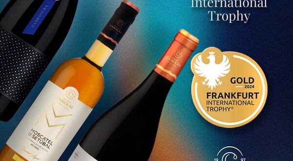 vinhos_adega_camolas