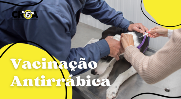 vacinacao_antirrabica
