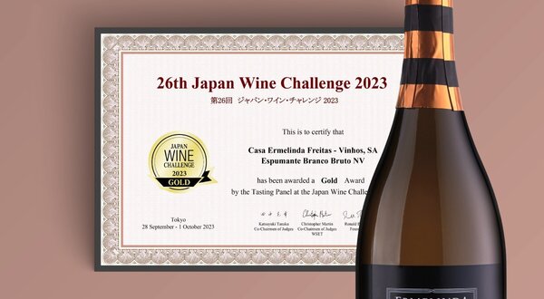 casa_ermelinda_freitas