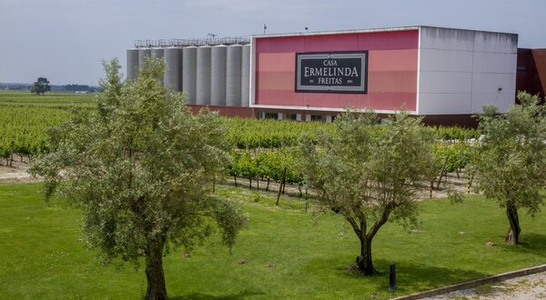 casa_ermelinda_freitas_2