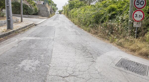 estrada_dos_carvalhos