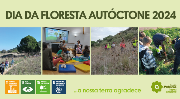 noticia_floresta_autoctone