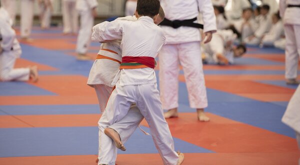 judo