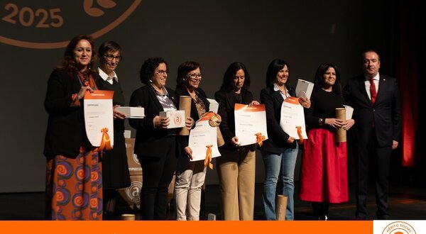 bandeira_merito_social