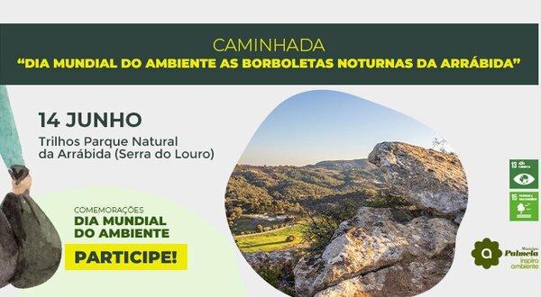 caminhada___dia_mundial_do_ambiente
